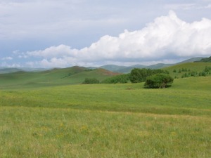 内モンゴルの草原
